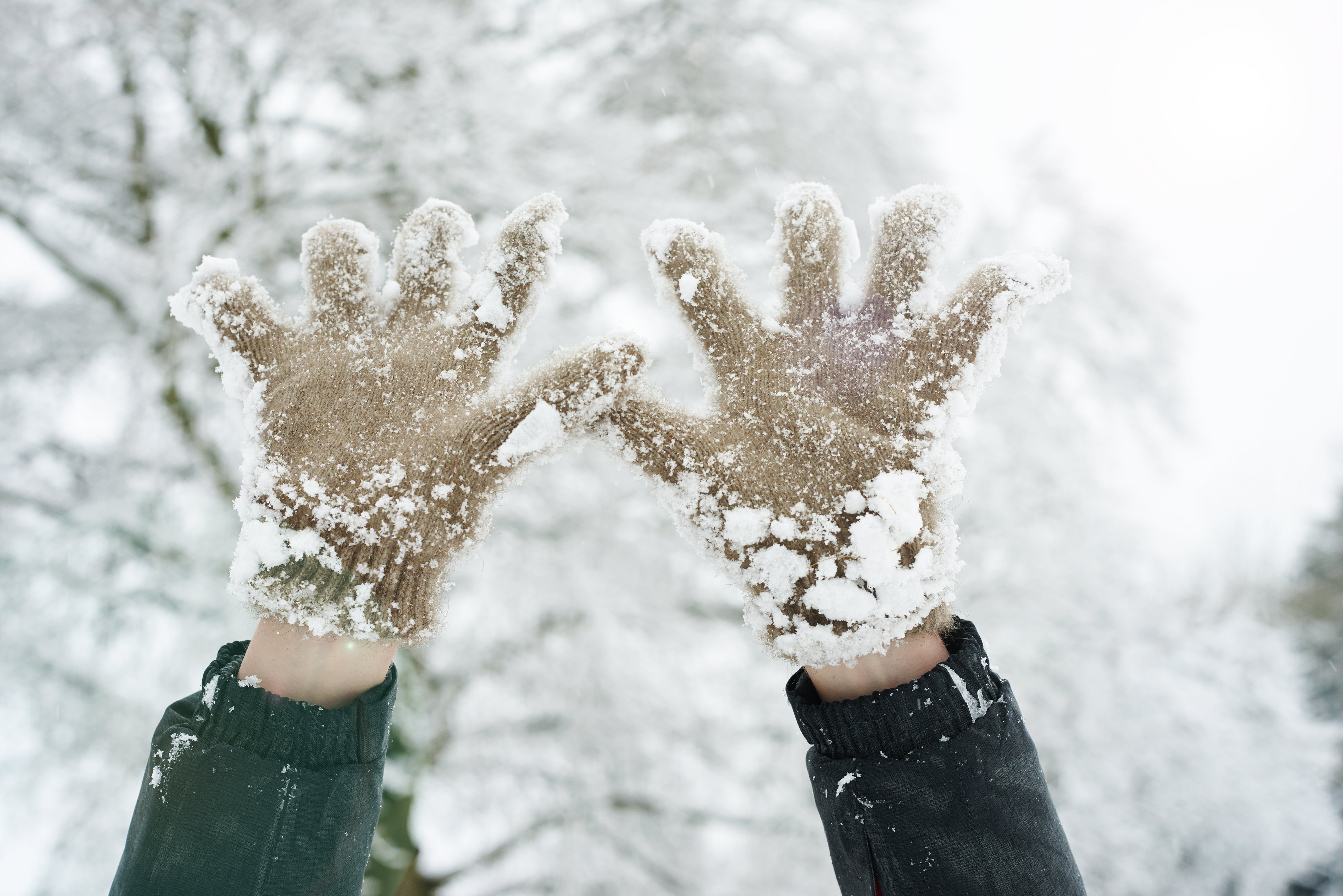 Проявлять холод. Перчатки в снегу. Перчатка на снегу. Руки зимой.